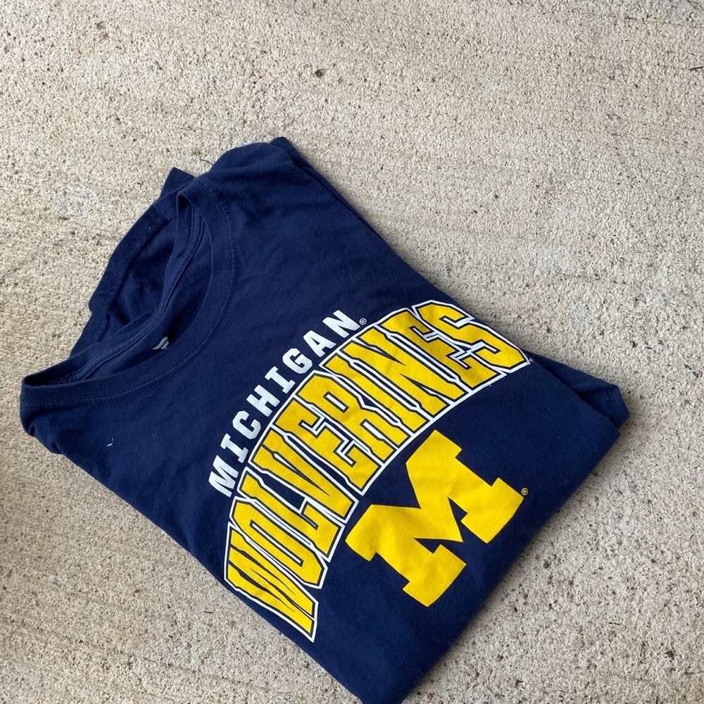 Michigan Wolverines - image 3